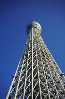 Steel framework rising against a clear sky, showcasing structural precision.