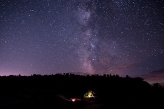 Night sky filled with stars above the canopy of the Amazon, with silhouettes of trees and a small campfire.