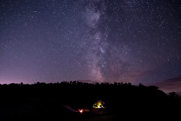 A panoramic view of a lush forest with a campfire gathering under a starry sky.