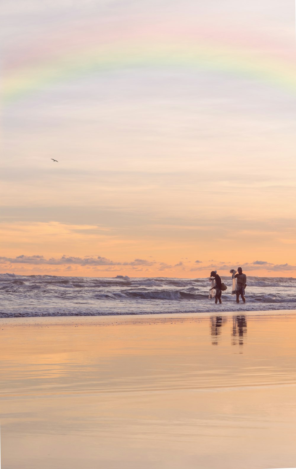 persons standing on beach