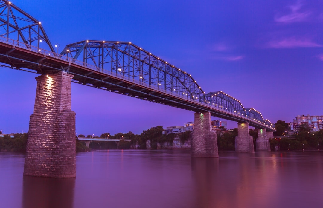 gray metal bridge with lights