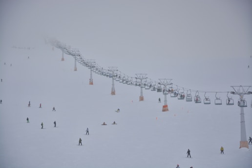 A snowy landscape with several people skiing and snowboarding. A line of ski lifts extends into the distance, partially obscured by fog. The scene is mostly monochromatic, with the white snow dominating the foreground.