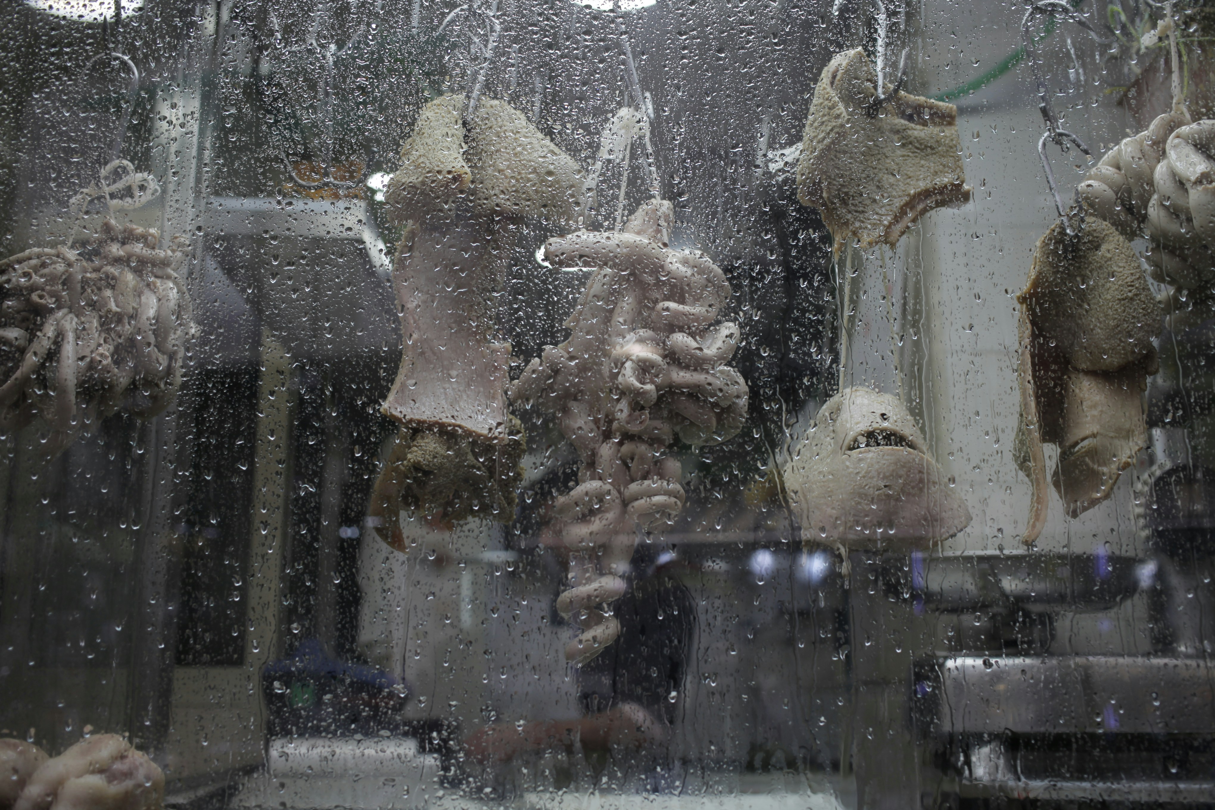 Ayam dan Daging Berkualitas