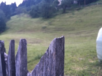 Close-up of a wooden fence bordering a green pasture with rolling hills in the background.