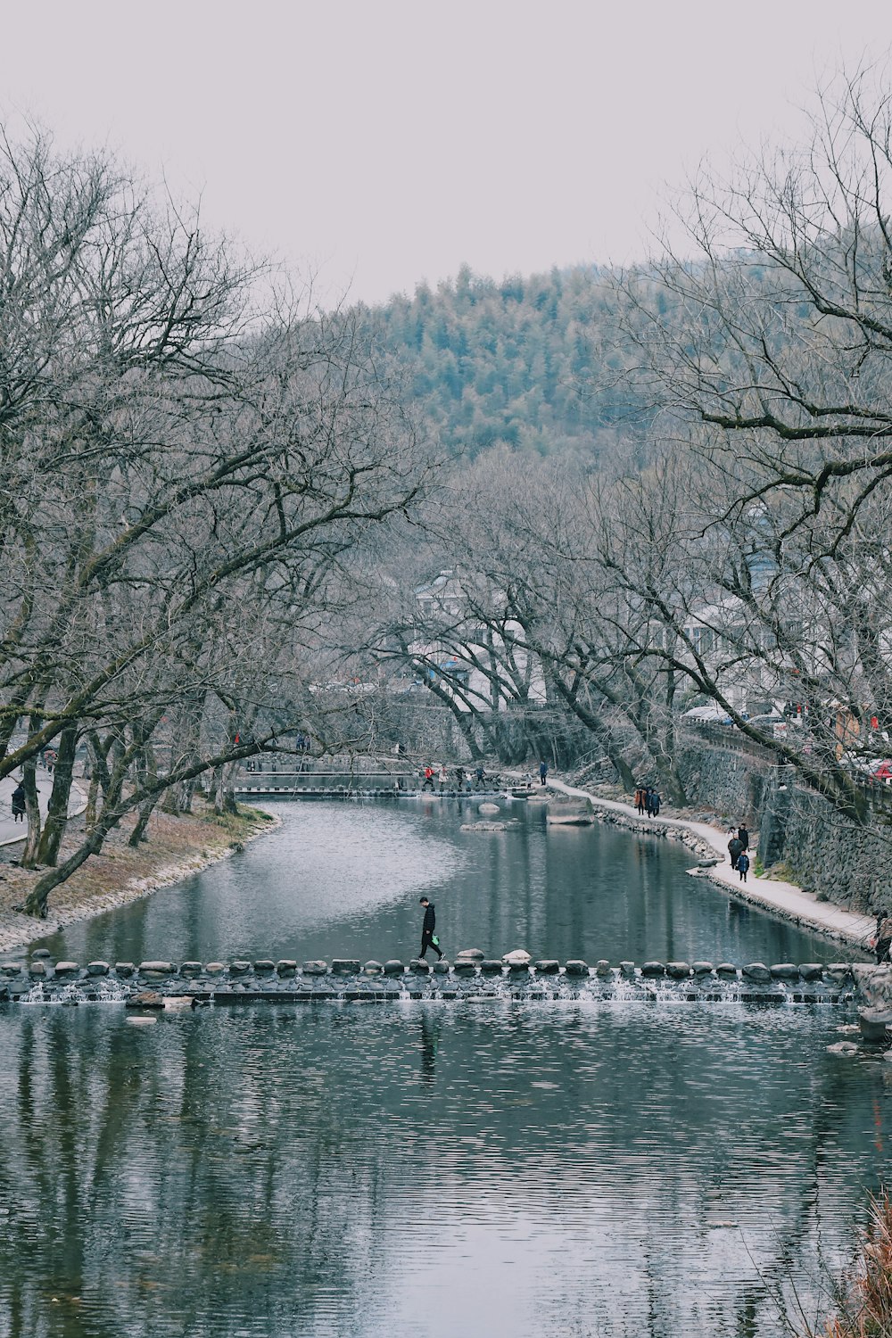 man walking on stone bridge between bare trees at daytime