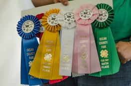 Five prize ribbons in different colors, each labeled with places awarded at the Ocean County Fair Fun Day. The ribbons are blue, yellow, white, pink, and green, representing third to sixth places.