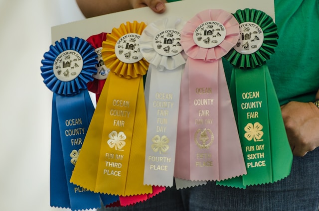 Five prize ribbons in different colors, each labeled with places awarded at the Ocean County Fair Fun Day. The ribbons are blue, yellow, white, pink, and green, representing third to sixth places.