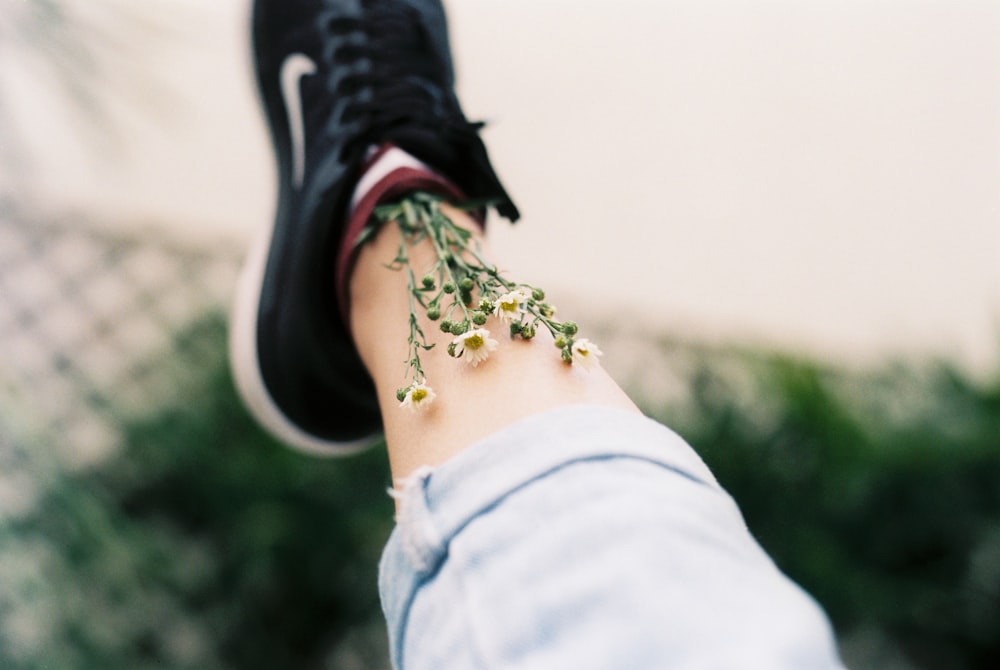 person's shoe filled with daisy flowers