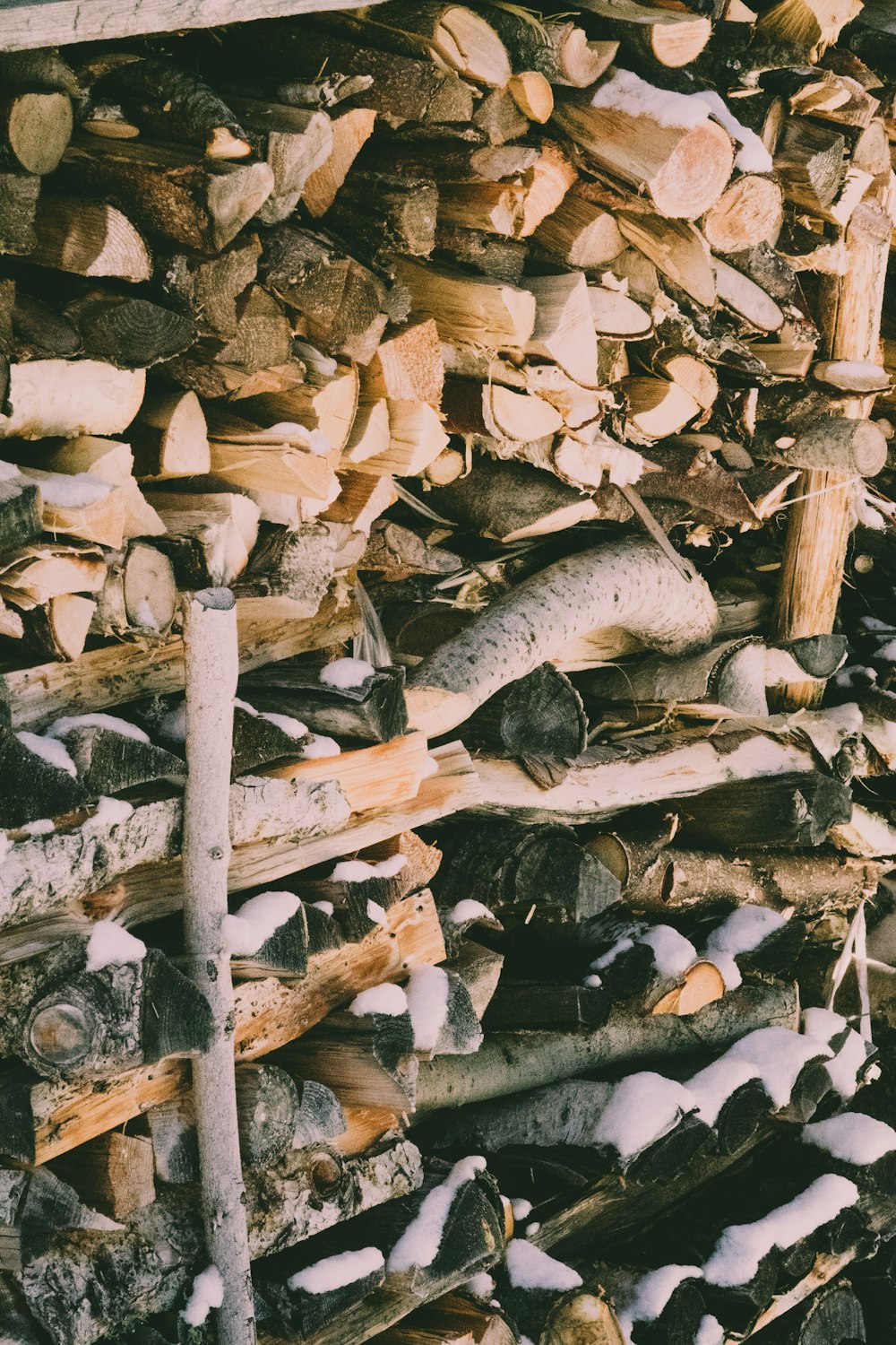 piled brown firewood