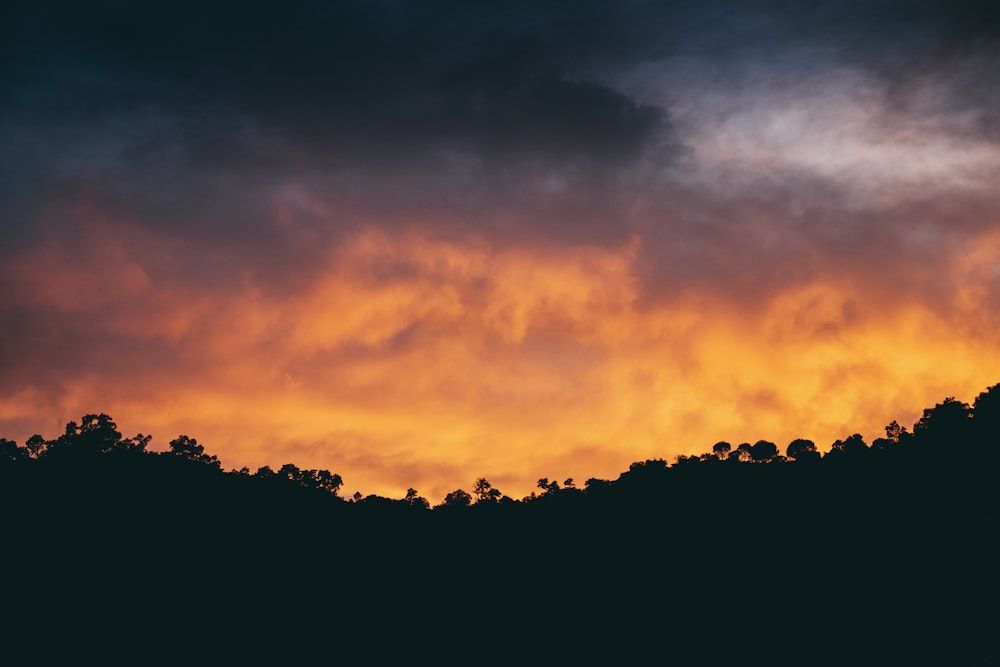 silhouette of trees under cloudy sky at golden hour