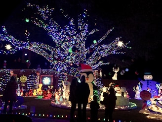 A family enjoying a Christmas light display in their yard.
