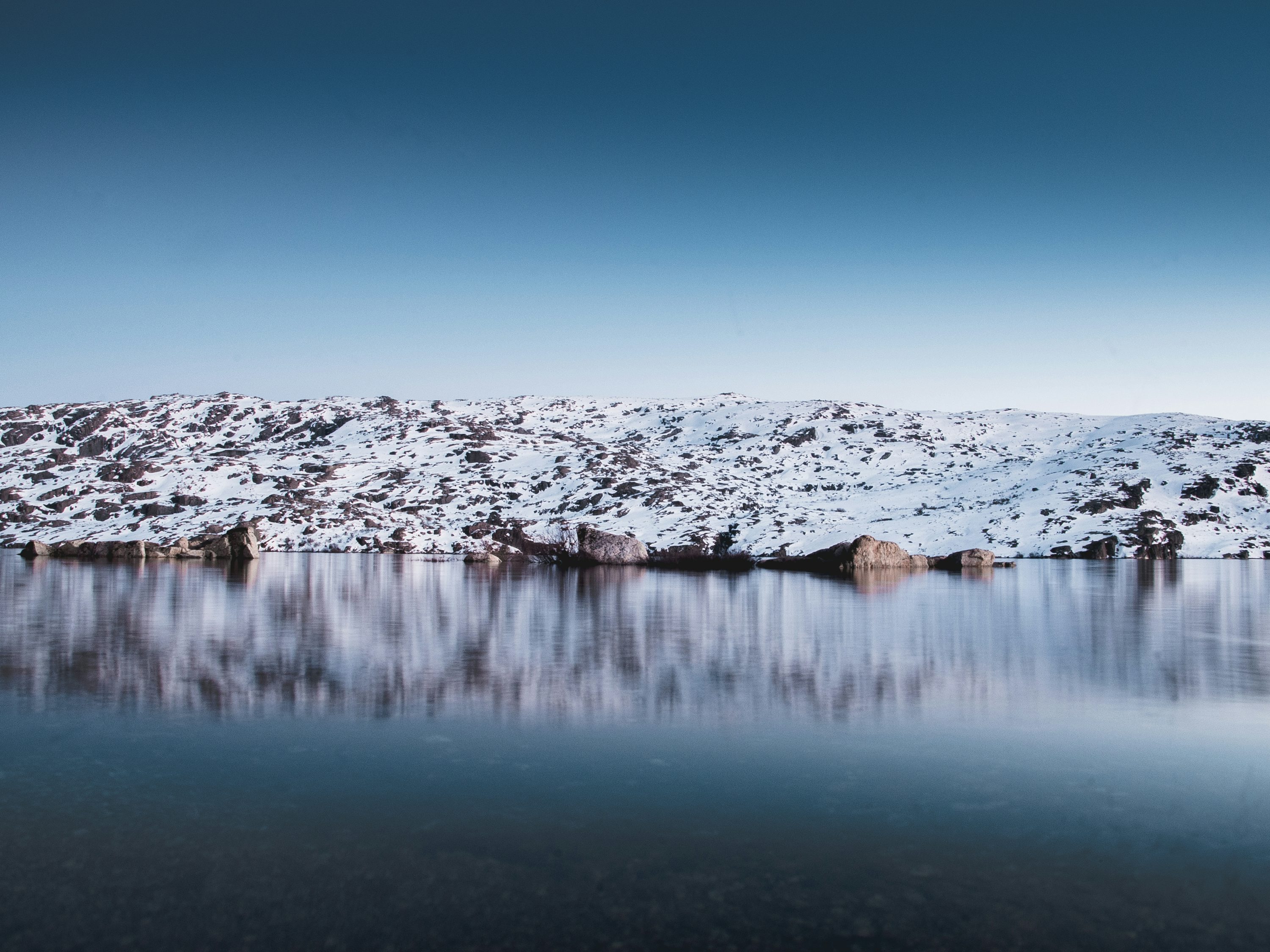 © Ricardo Rocha / unsplash.com