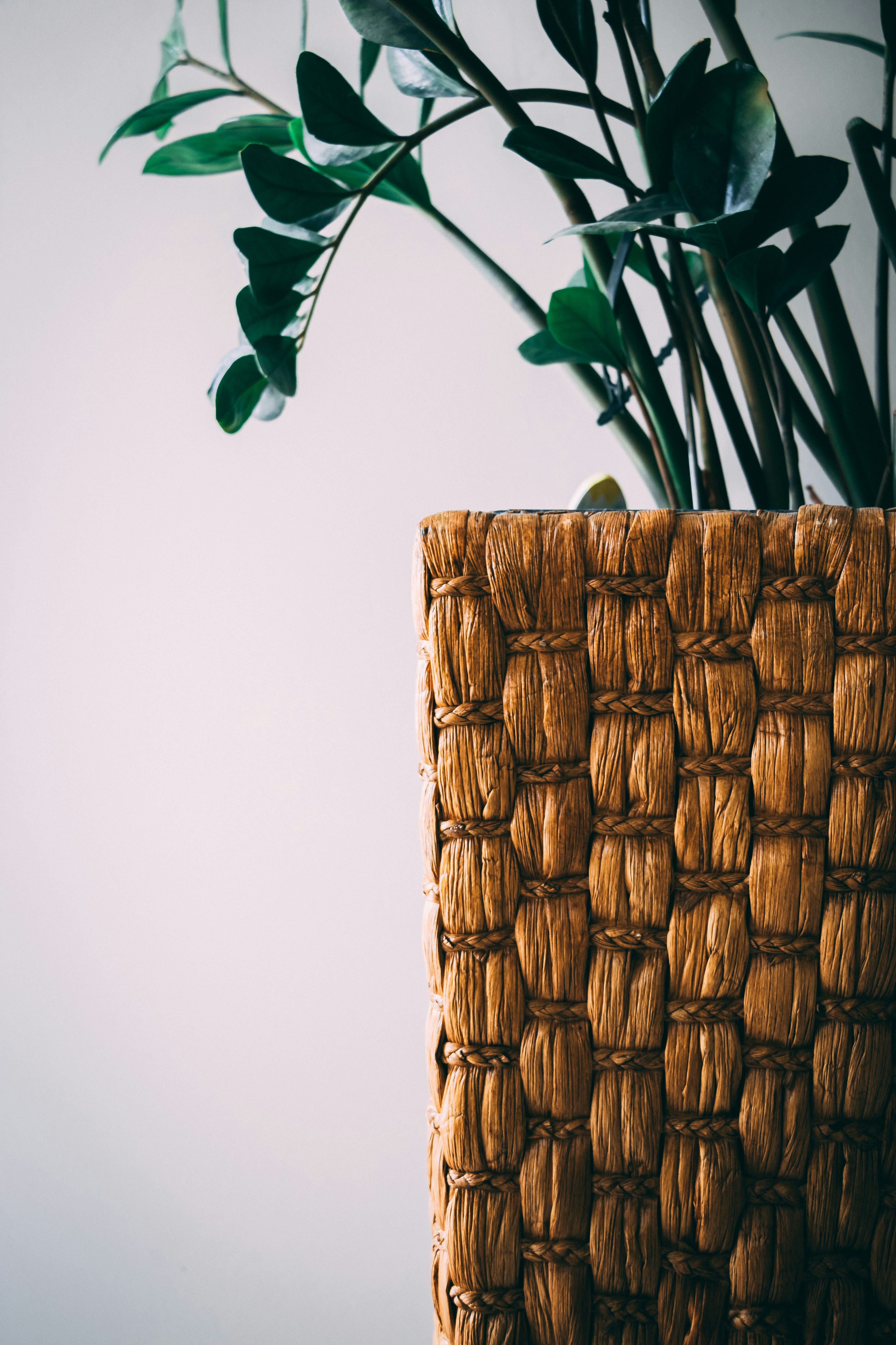 Why Aspect Ratios Matter: The Shape of Your Screen Is Not Neutral