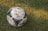 Close-up of a well-used soccer ball on a grassy field with players in the background.