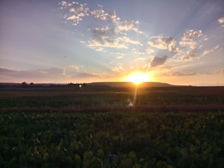 Sunset over fertile farmland with distant mountains in background.