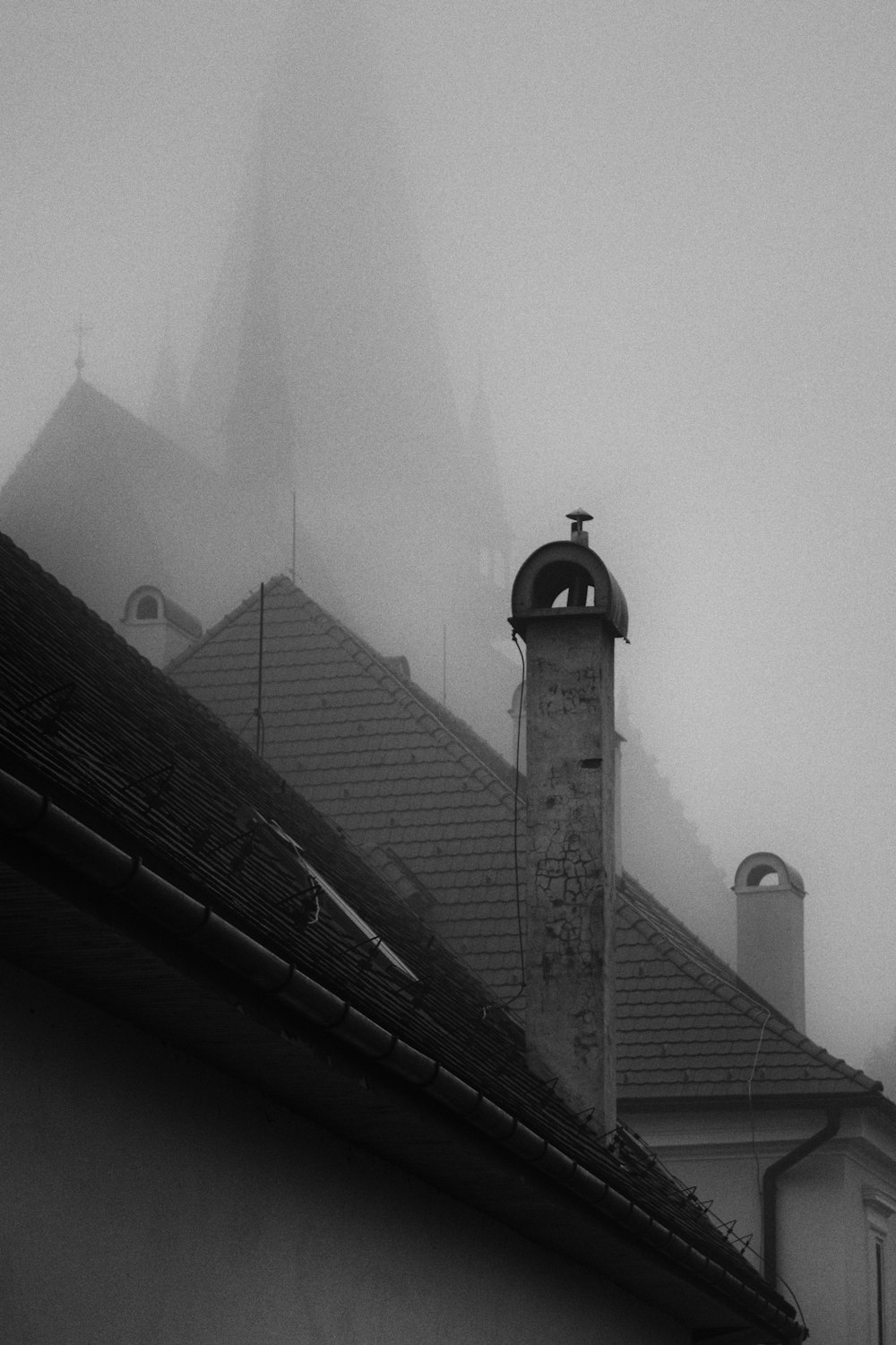 Foto in scala di grigi di un edificio gotico