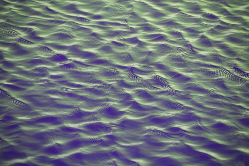 onda no corpo de água
