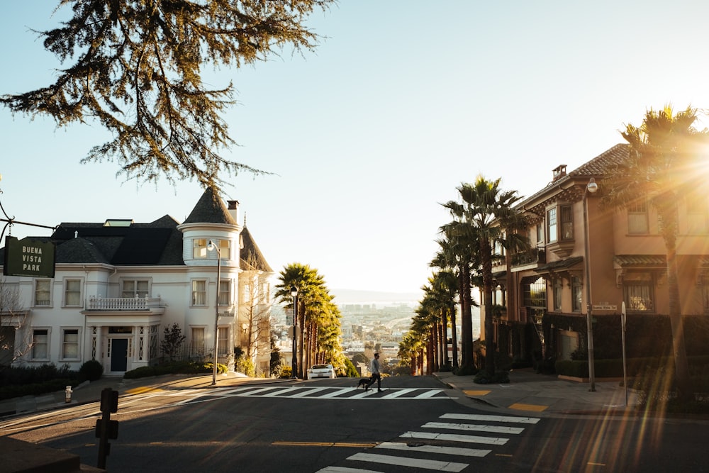 Casas perto de Road with Palm Trees