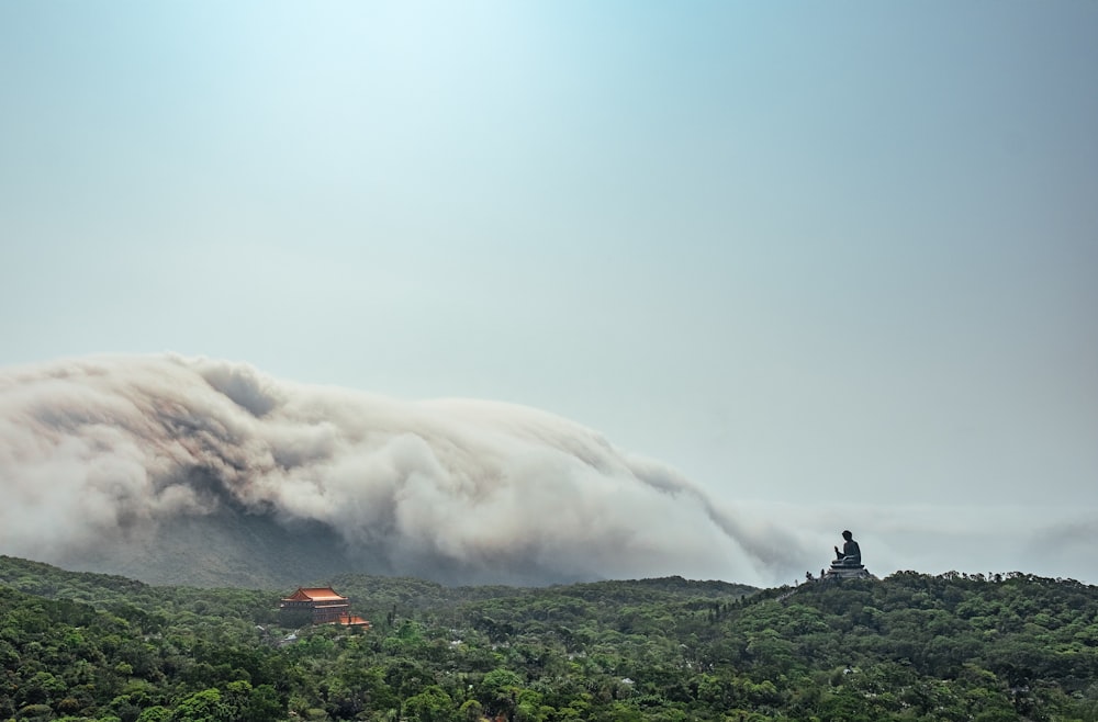 forest fire near temple