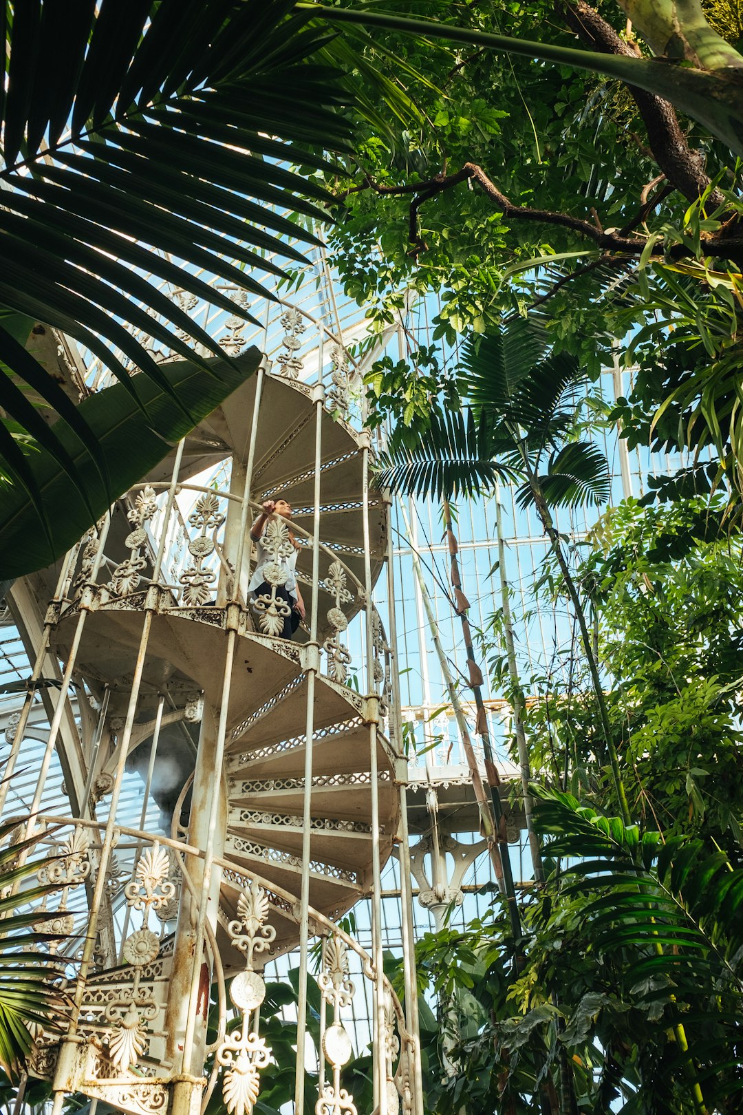 Jungle photo spot Kew Gardens Barbican Centre