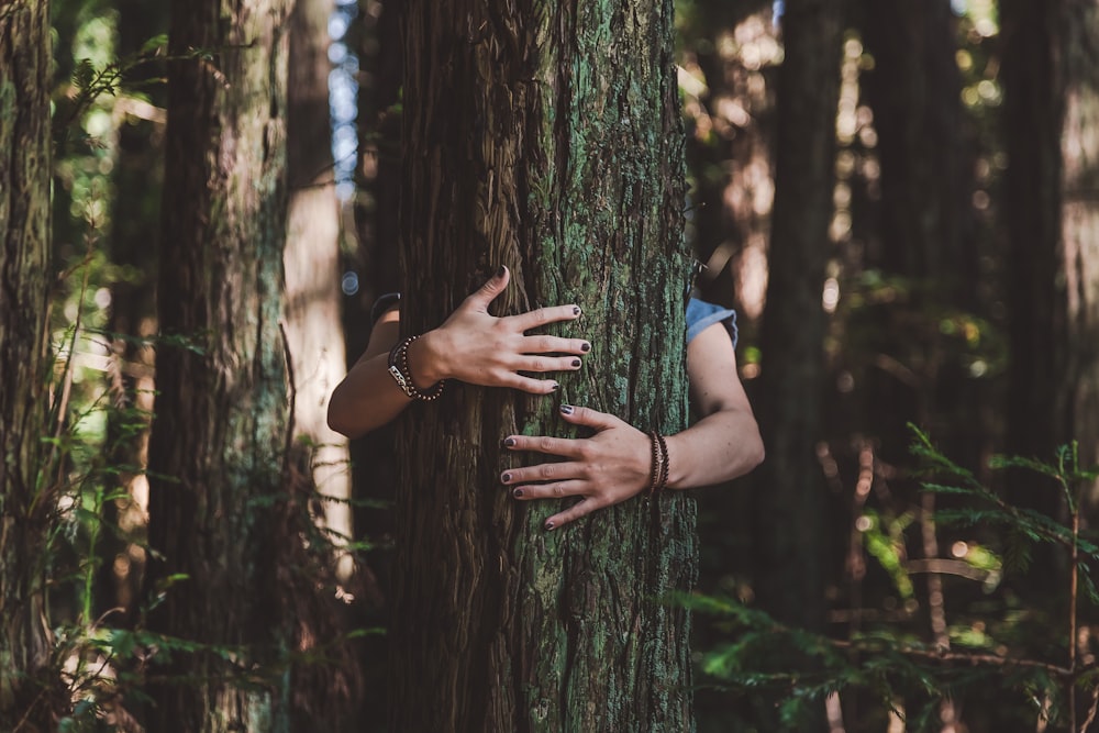 a person hugging a tree in a forest