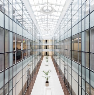 photography of glass wall hallway