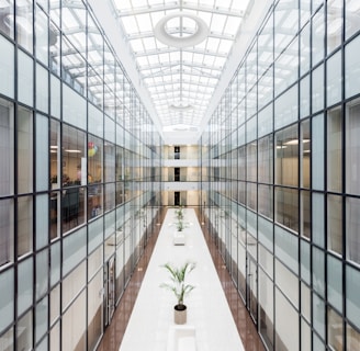 photography of glass wall hallway