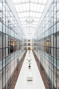 photography of glass wall hallway