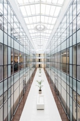 photography of glass wall hallway