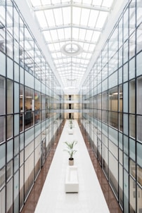 photography of glass wall hallway