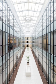 photography of glass wall hallway
