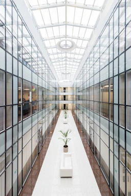 photography of glass wall hallway