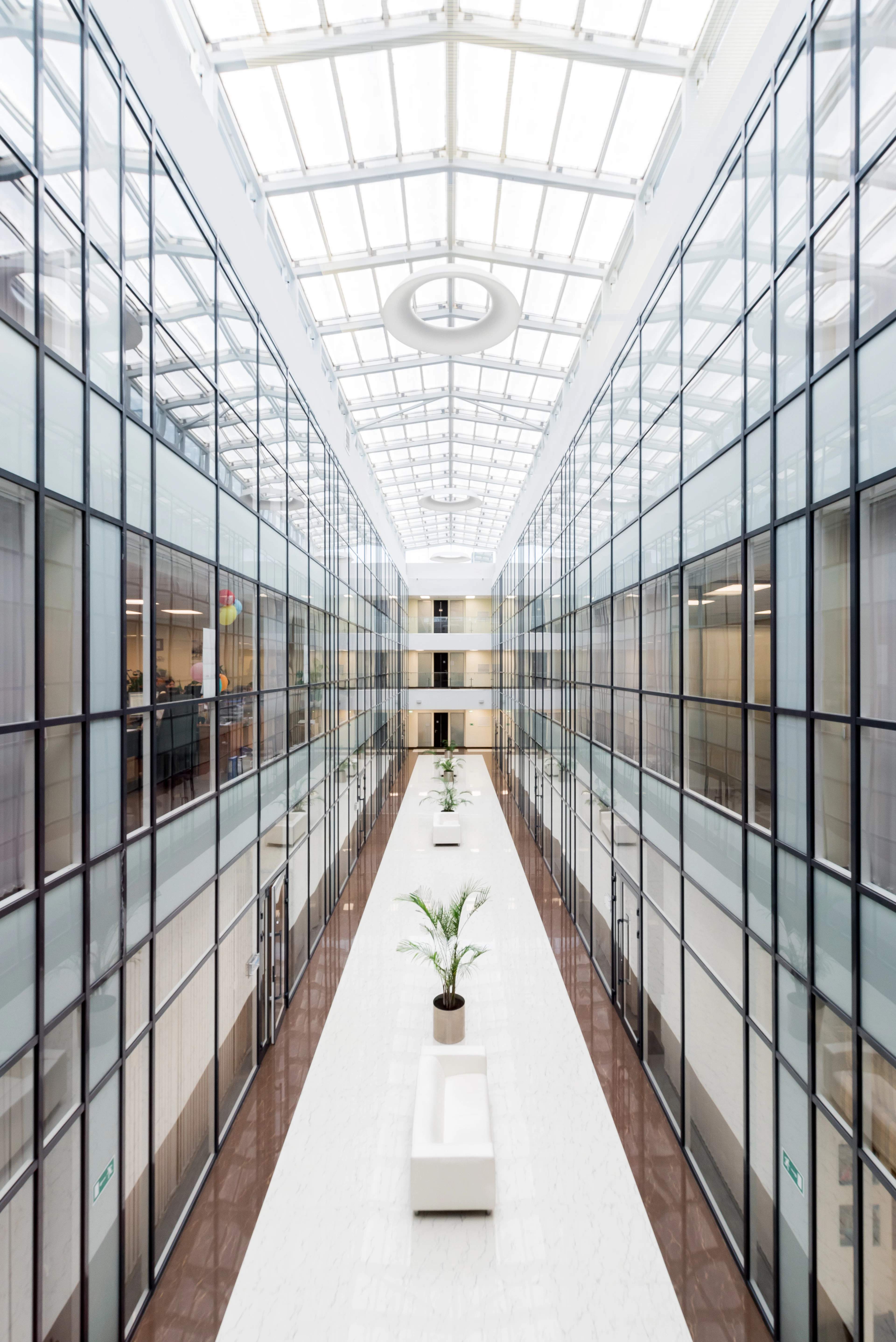 A modern hallway with full-height glass wall panels and planting