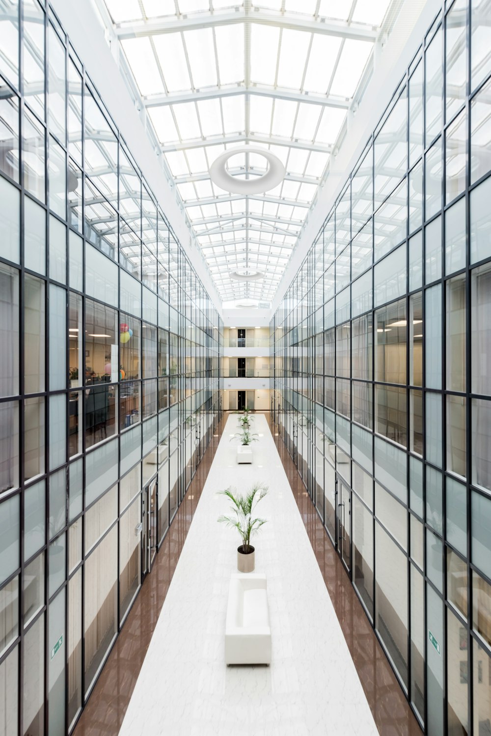 photography of glass wall hallway