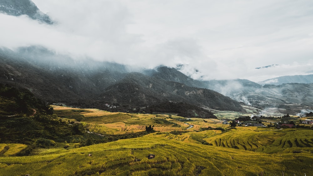 aerial photography of grass field