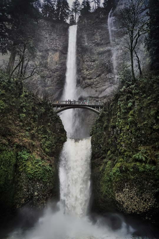 waterfalls in mountain in Multnomah Falls United States