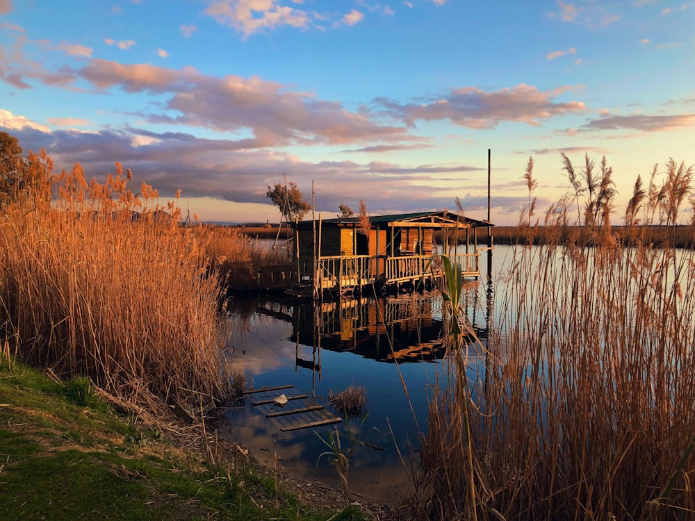 wooden house on body of water near grasses