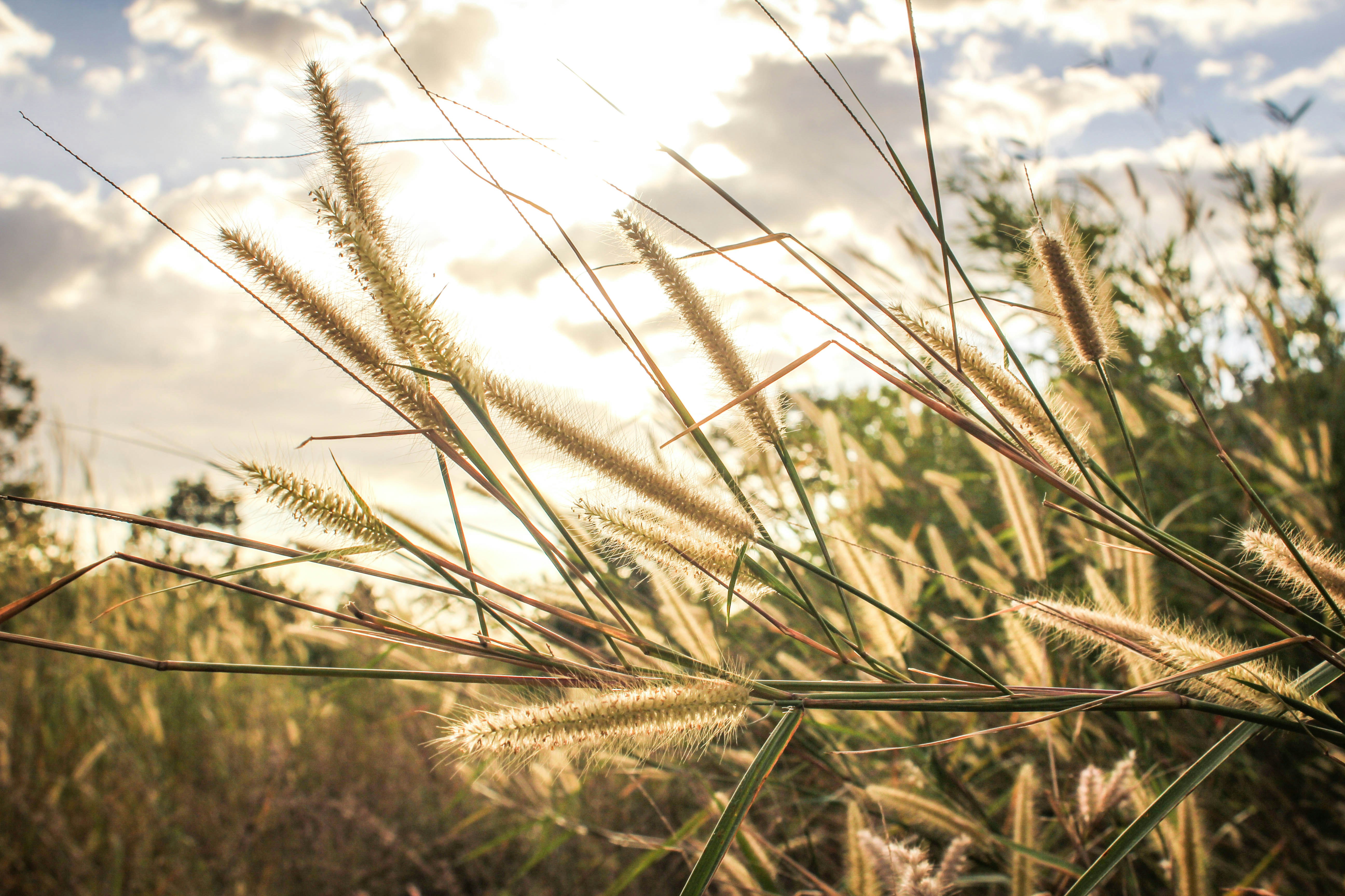 Photo by iamricozamudio