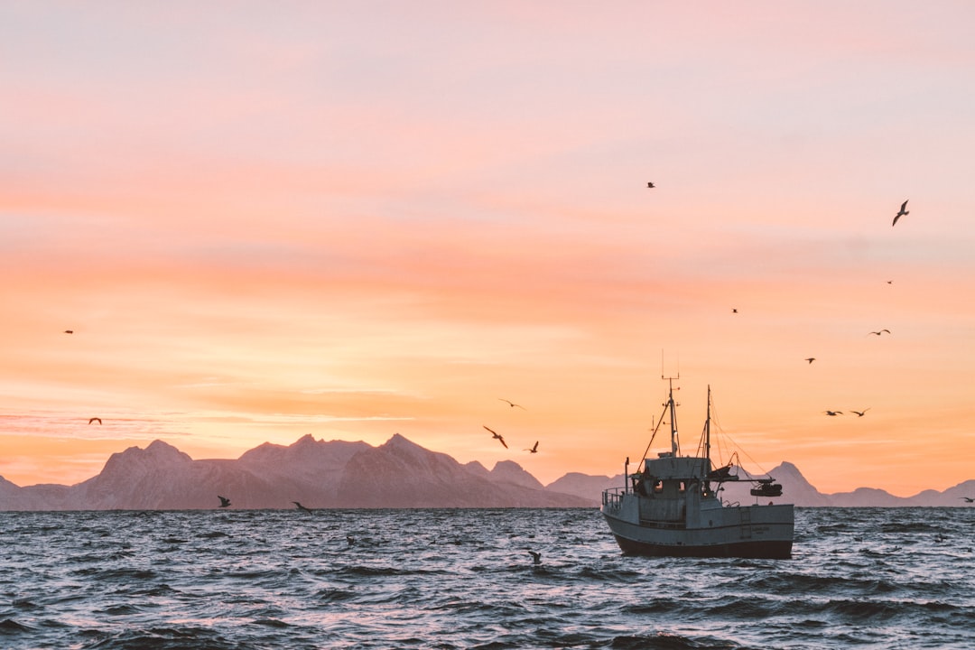 travelers stories about Ocean in Andøya, Norway