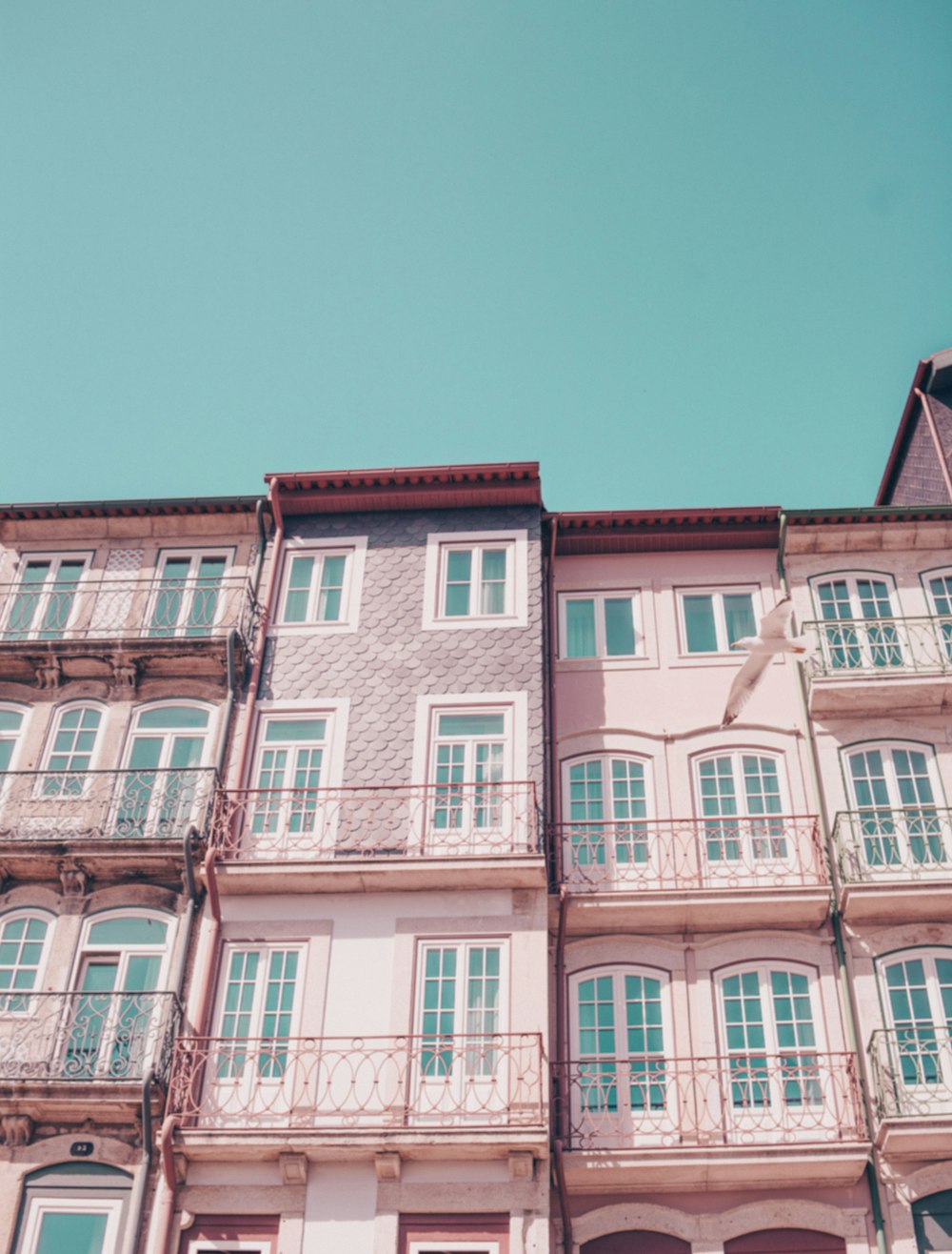 several pink houses with glass windows