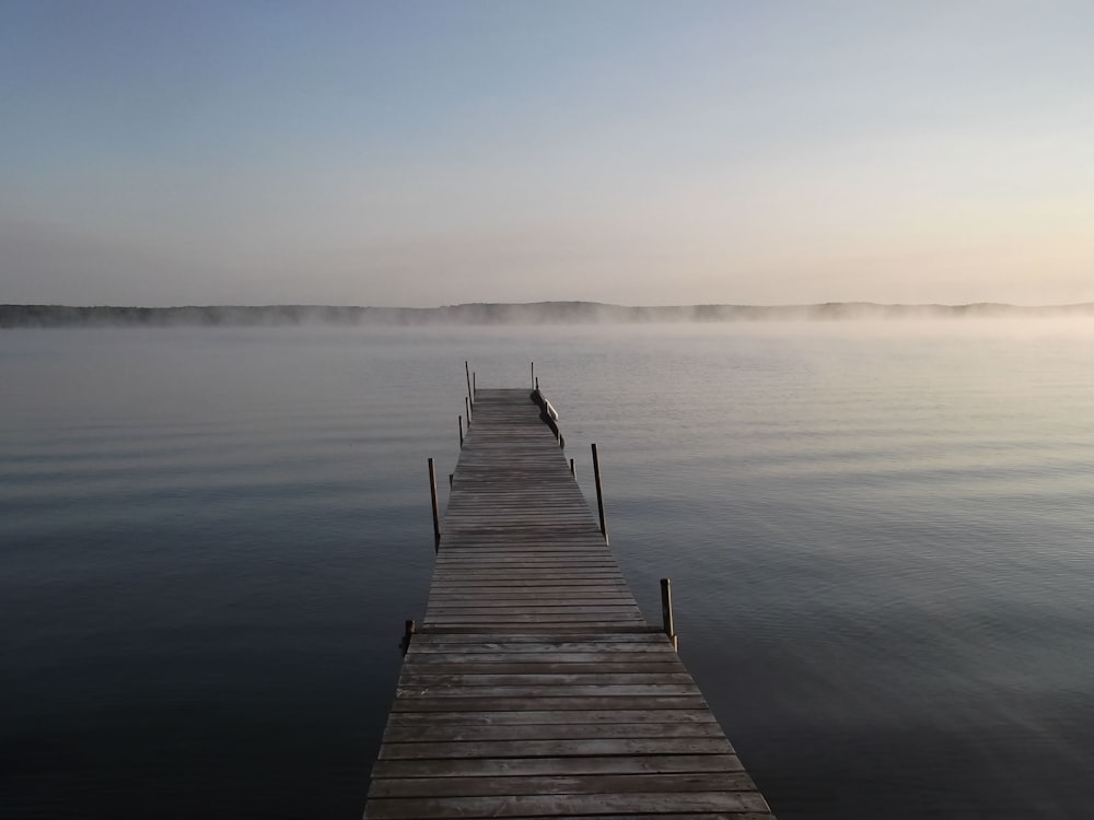 boardwalk over body of water with fogs