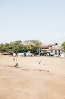 A spacious field with dry grass where several people are playing cricket. Trees and residential buildings with traditional architecture are visible in the background. The sky is clear and bright.