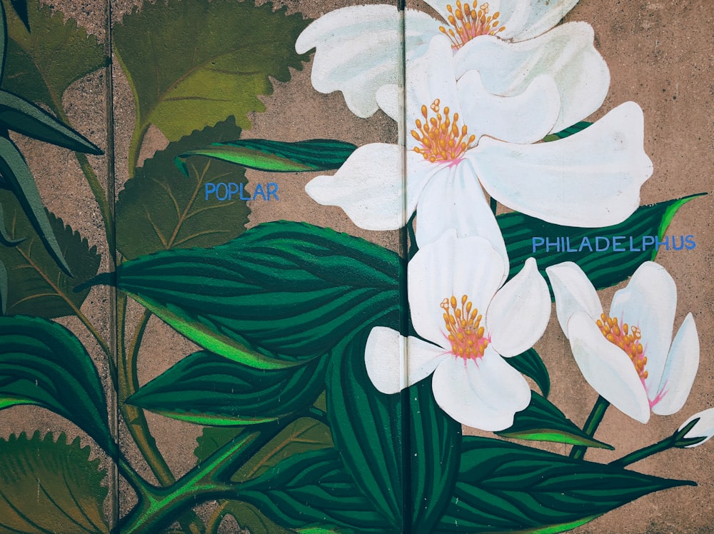 white and green petaled flower painting