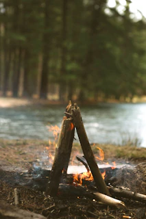 A quiet riverside campfire scene with a Freestone reel resting on a wooden log