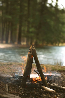 A quiet riverside campfire scene with a Freestone reel resting on a wooden log