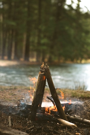 Two wooden logs arranged in a tepee style, with flames flickering around them, creating a small campfire. The fire is set against a tranquil forest backdrop, with tall trees and a river flowing in the background.