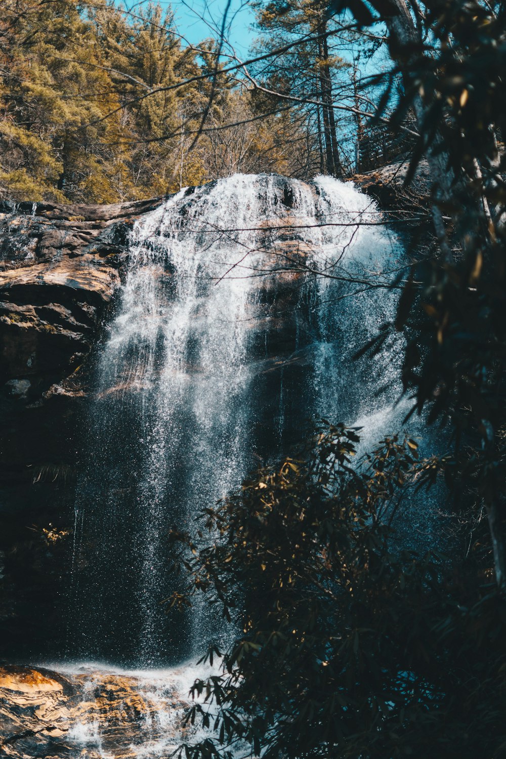 waterfalls surrounded with trees