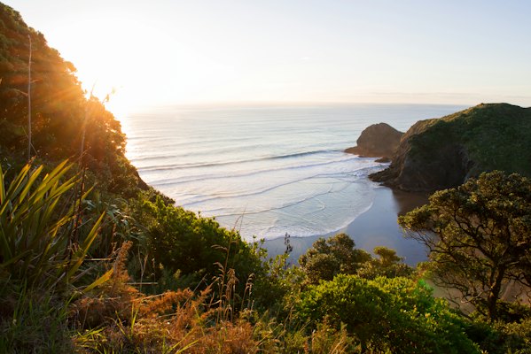 Body of water near green mountains during daytime — Auckland, New Zealand