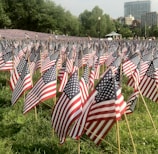 people standing near US flaglets background of buildings