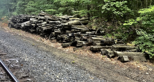 A pile of aged and disused railway sleepers lies next to a section of railway track. The surrounding area is densely covered with green foliage and trees, indicating a forested environment. The ground comprises gravel and dirt.